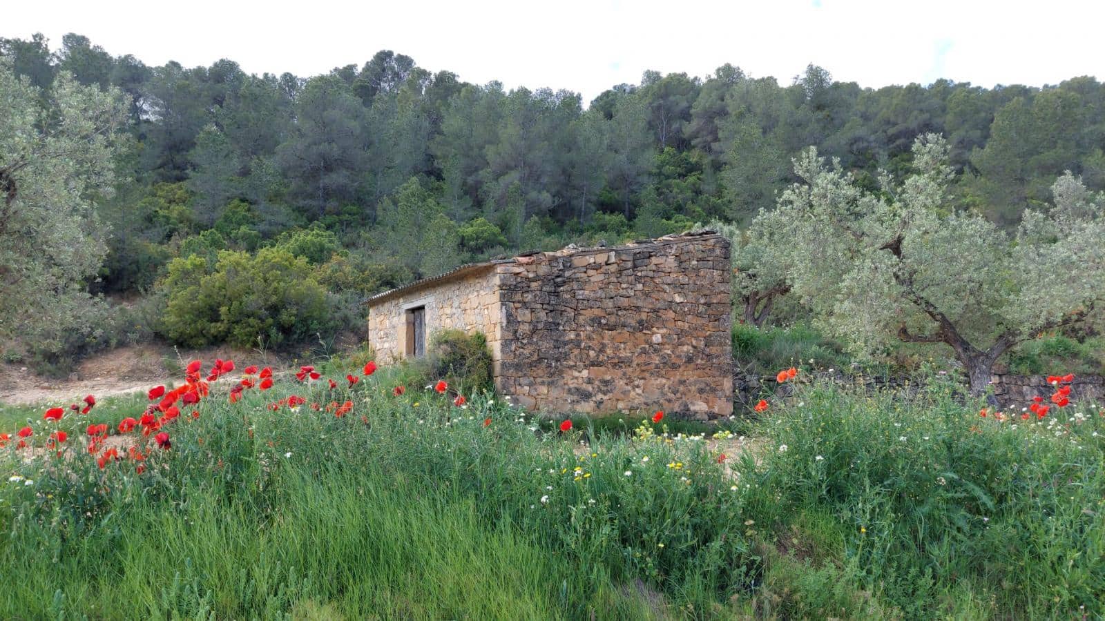 1 soverom Finca/Herregård til salgs i Mazaleon - € 52 000 (Ref: 9095015)