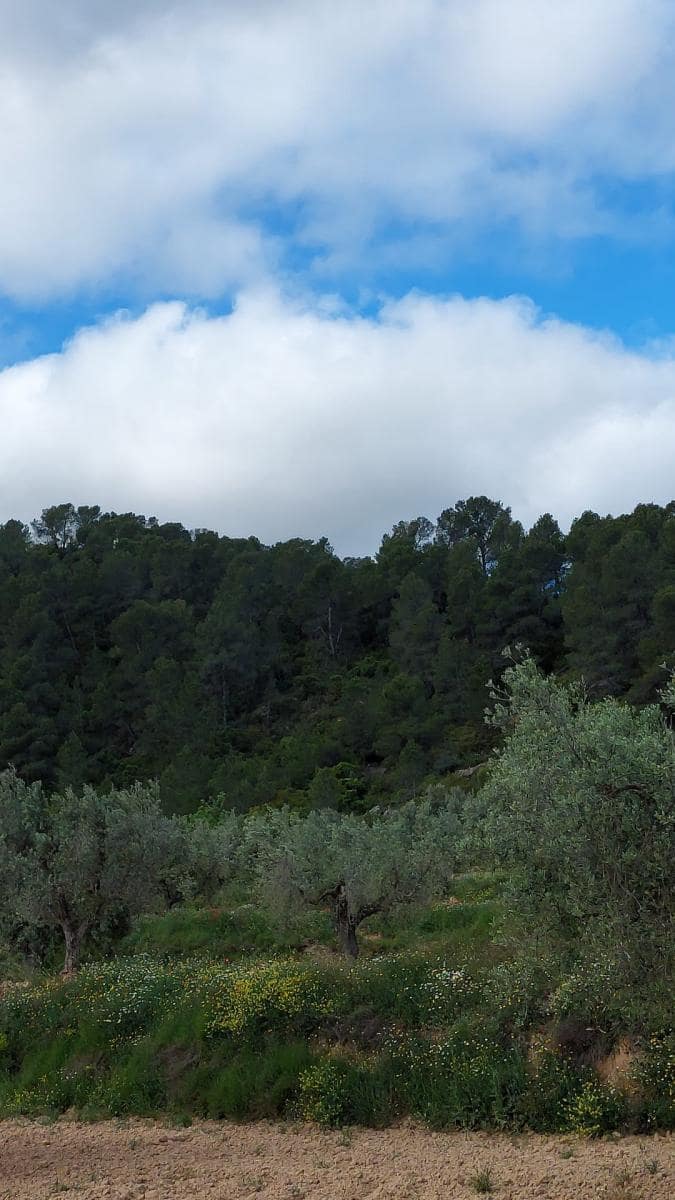 1 soverom Finca/Herregård til salgs i Mazaleon - € 52 000 (Ref: 9095015)