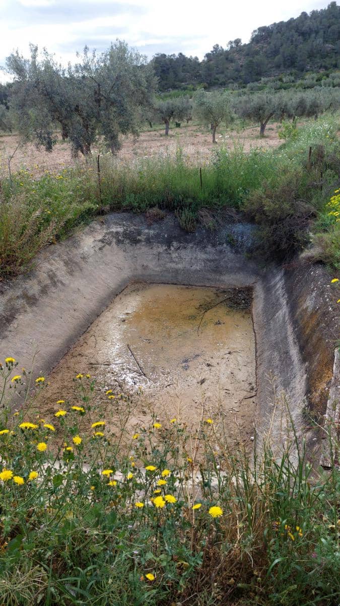 1 soverom Finca/Herregård til salgs i Mazaleon - € 52 000 (Ref: 9095015)