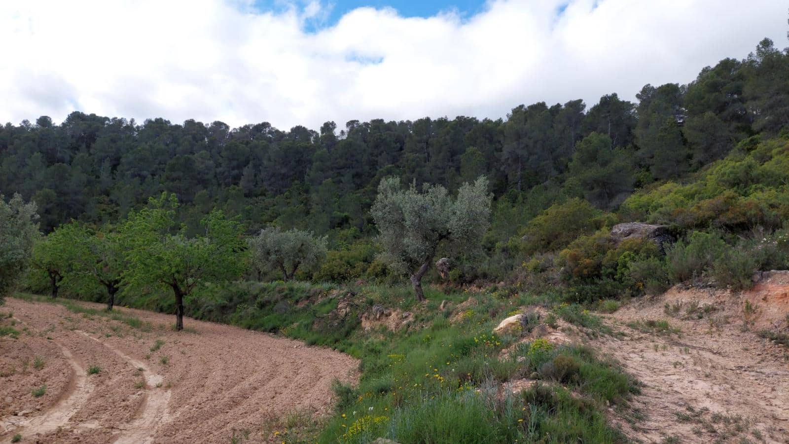 1 soverom Finca/Herregård til salgs i Mazaleon - € 52 000 (Ref: 9095015)