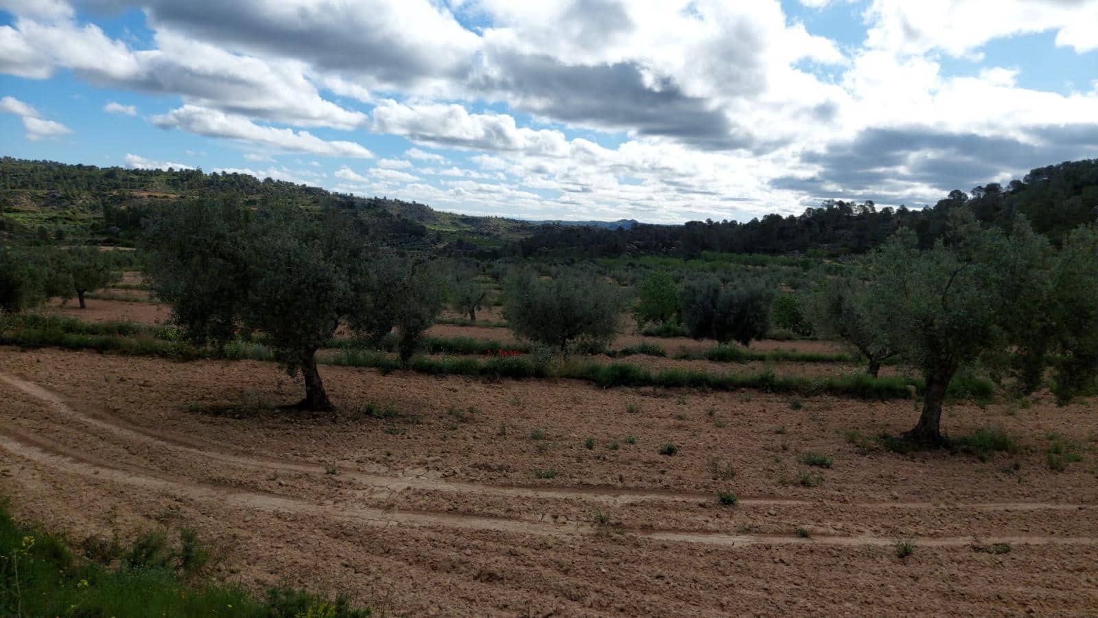 1 soverom Finca/Herregård til salgs i Mazaleon - € 52 000 (Ref: 9095015)