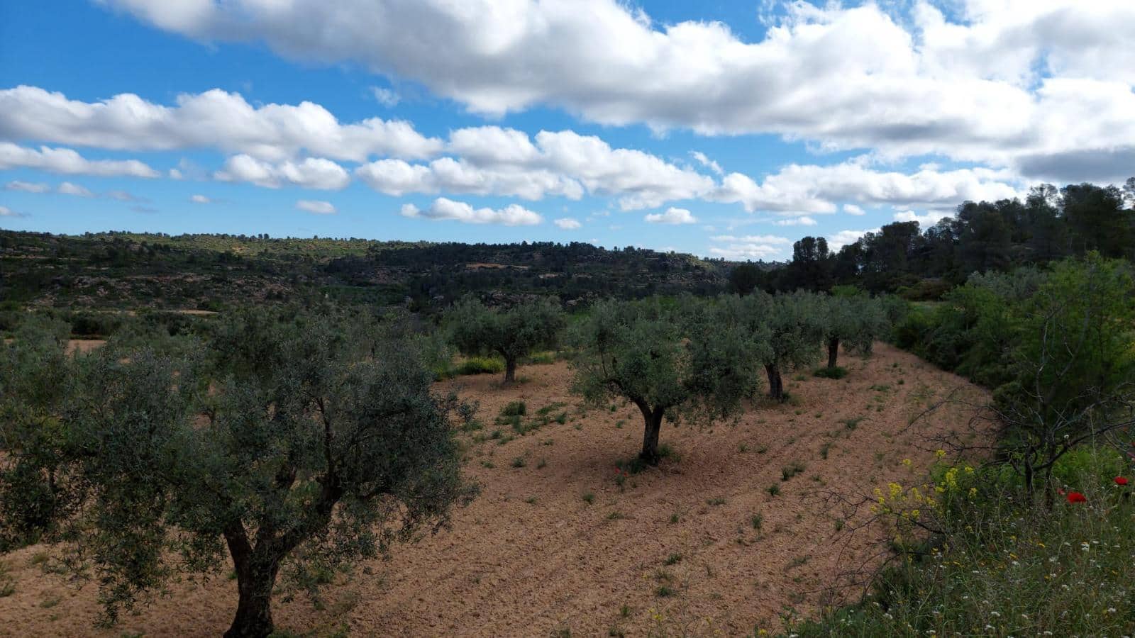 1 soverom Finca/Herregård til salgs i Mazaleon - € 52 000 (Ref: 9095015)