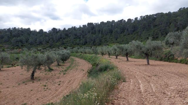 1 soverom Finca/Herregård til salgs i Mazaleón - € 52 000 (Ref: 9095015)