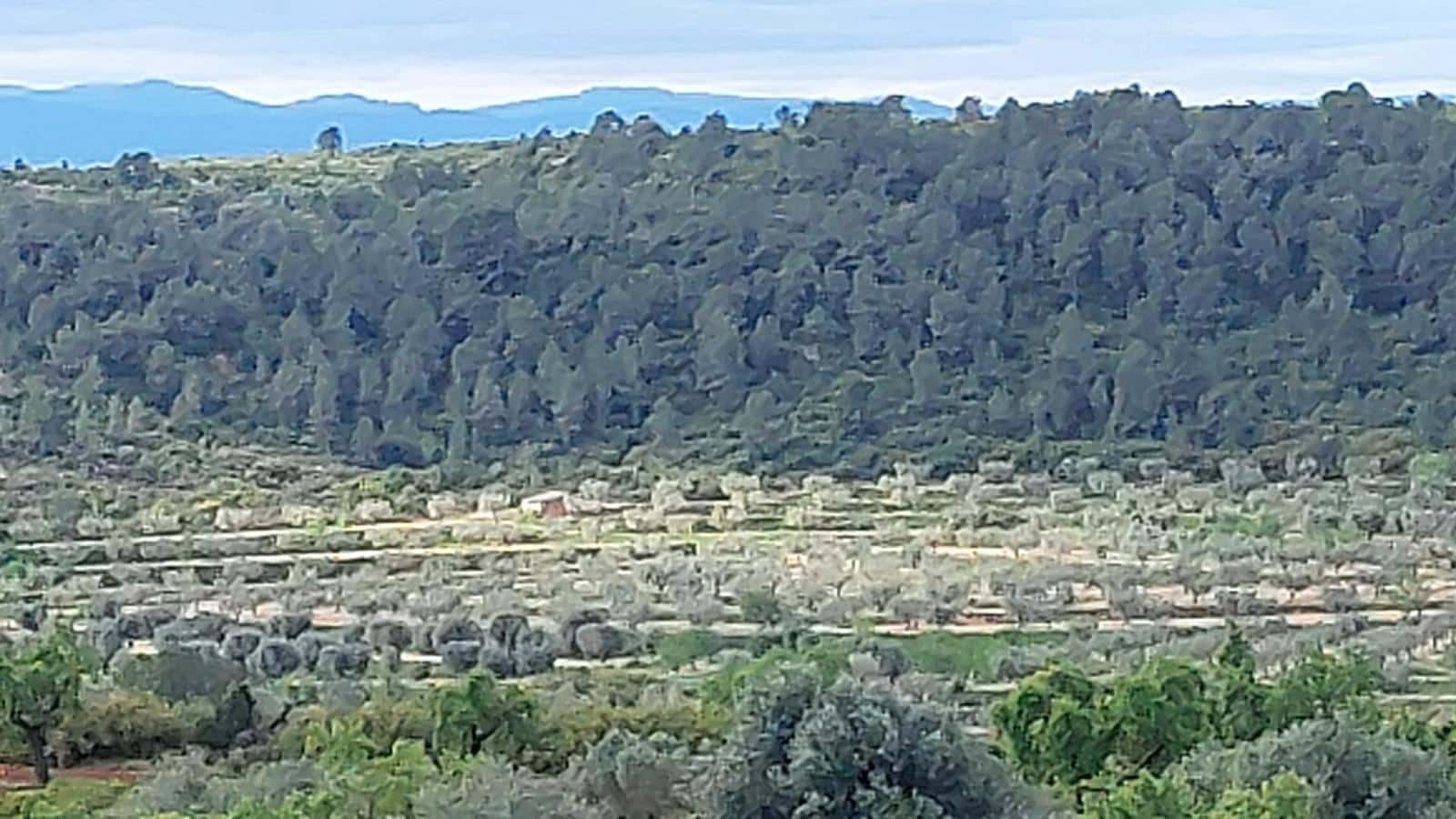 1 soverom Finca/Herregård til salgs i Mazaleon - € 52 000 (Ref: 9095015)