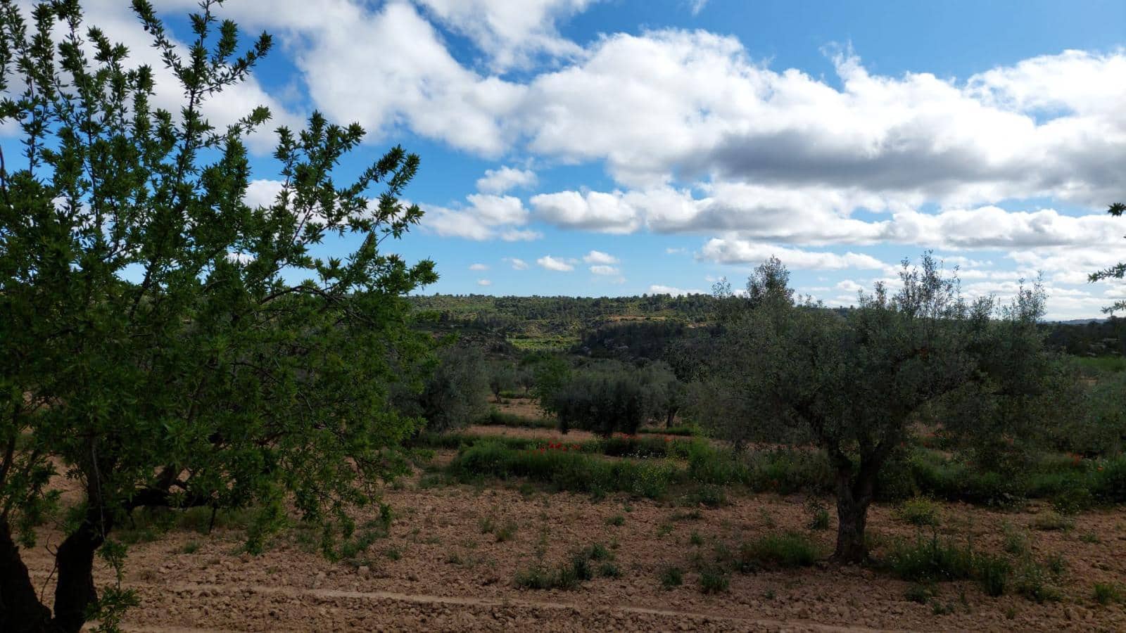 1 soverom Finca/Herregård til salgs i Mazaleon - € 52 000 (Ref: 9095015)