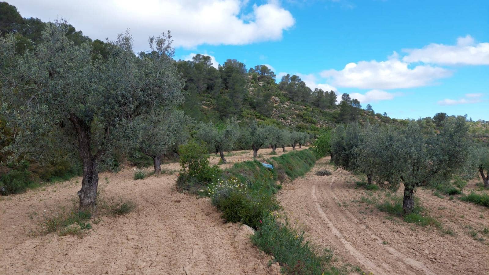 1 soverom Finca/Herregård til salgs i Mazaleon - € 52 000 (Ref: 9095015)