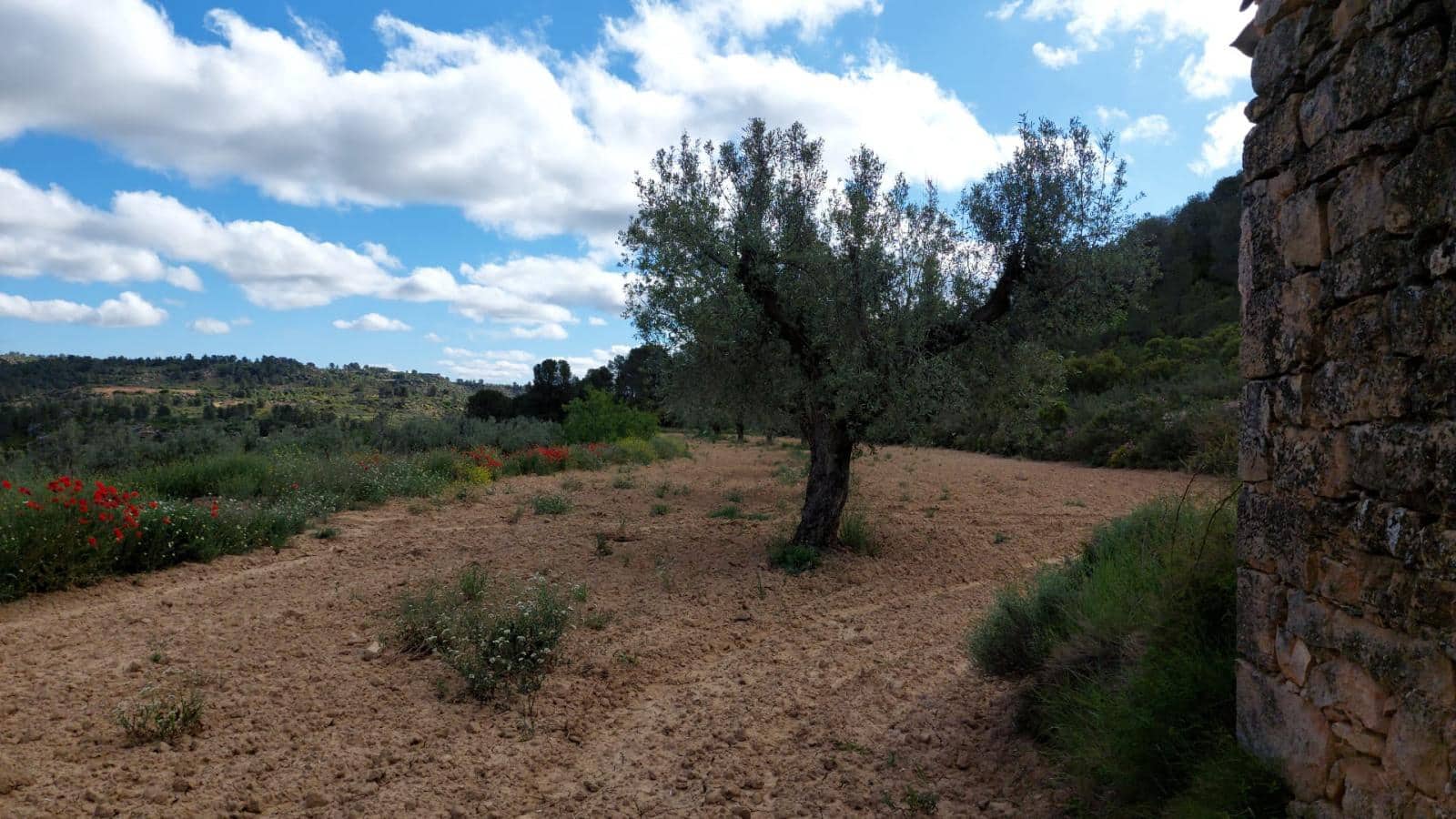 1 soverom Finca/Herregård til salgs i Mazaleon - € 52 000 (Ref: 9095015)