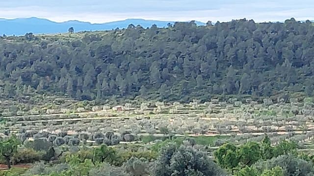 1 soverom Finca/Herregård til salgs i Mazaleón - € 52 000 (Ref: 9095015)