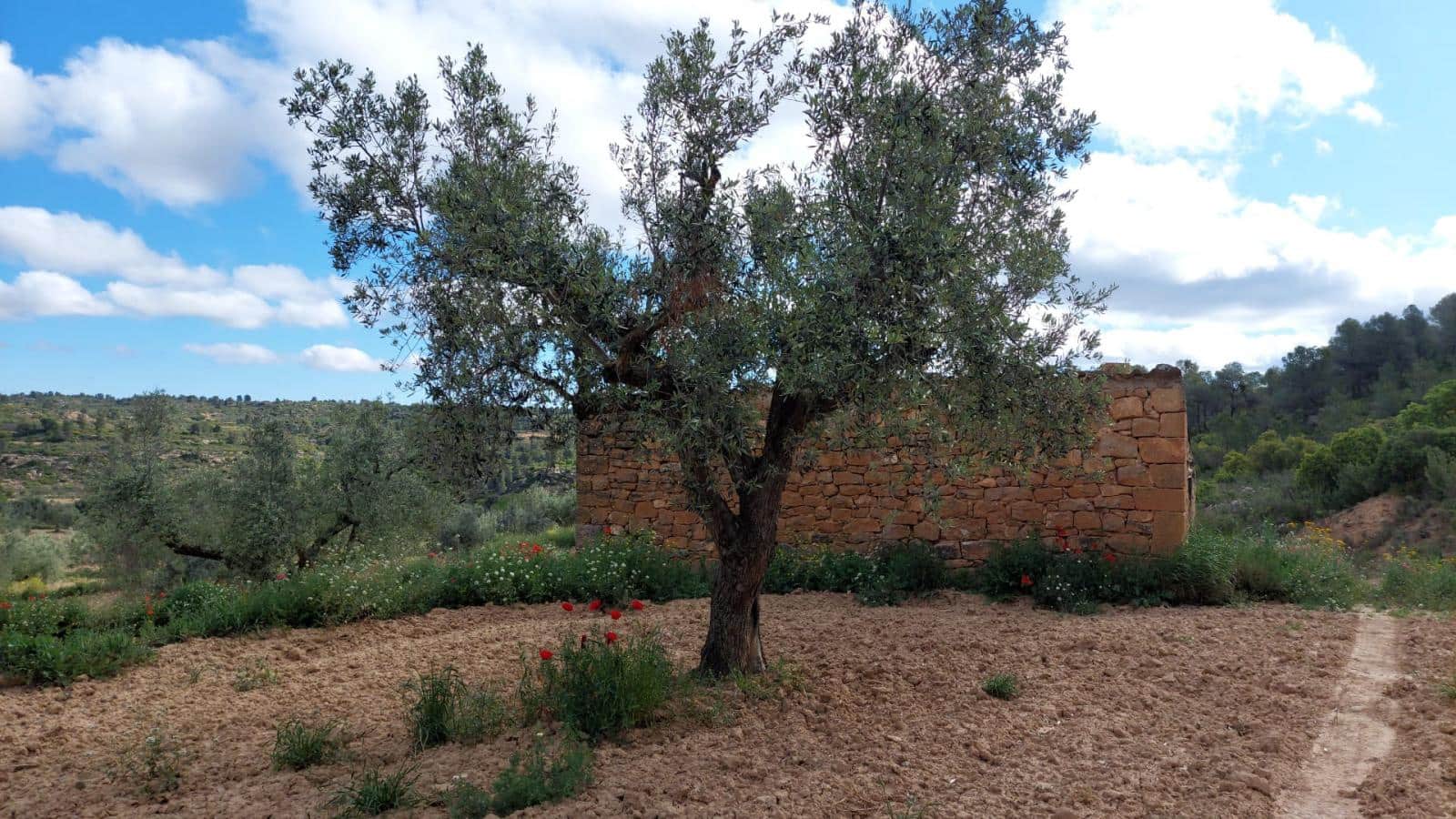 1 soverom Finca/Herregård til salgs i Mazaleon - € 52 000 (Ref: 9095015)