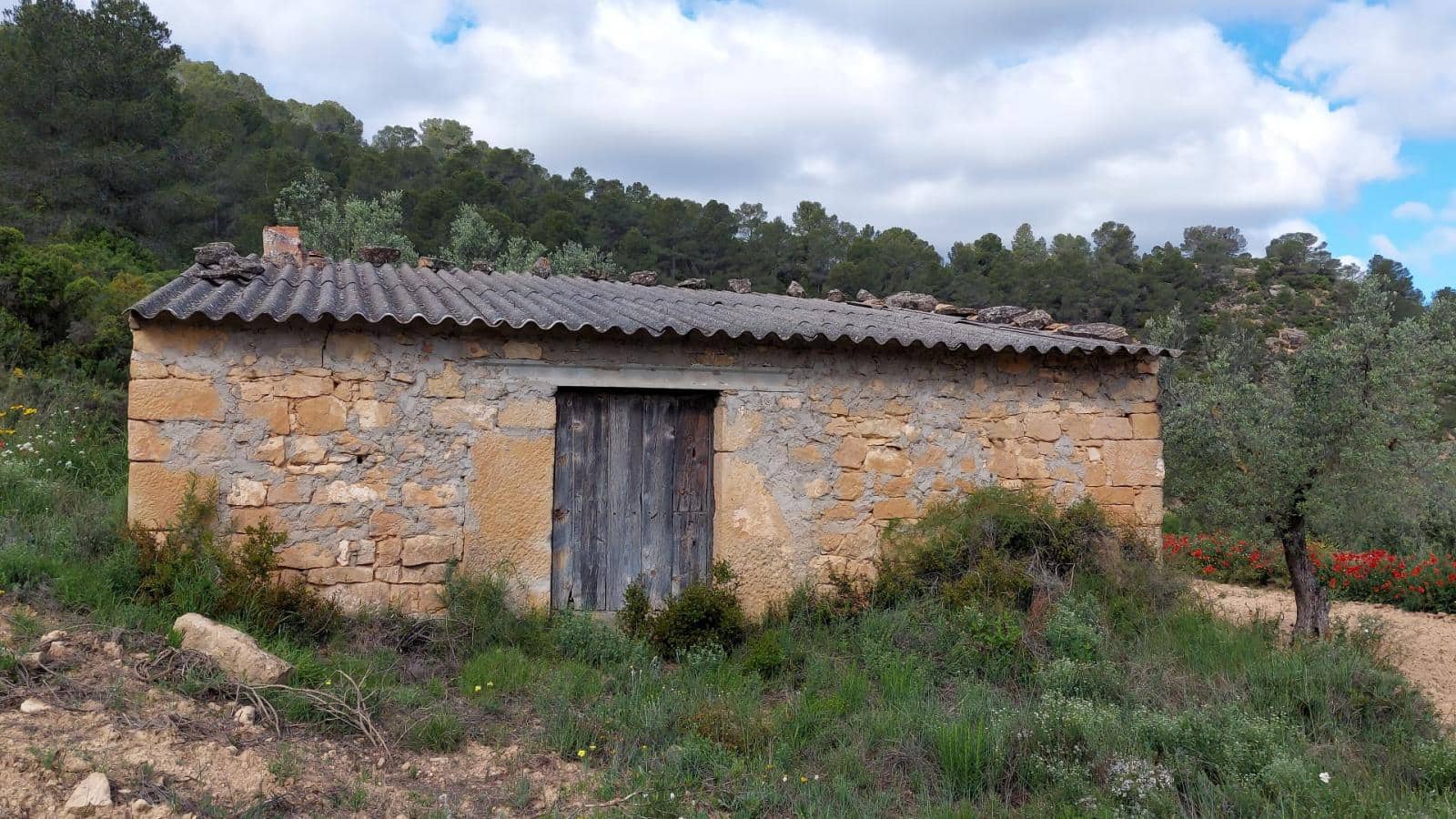 1 soverom Finca/Herregård til salgs i Mazaleon - € 52 000 (Ref: 9095015)