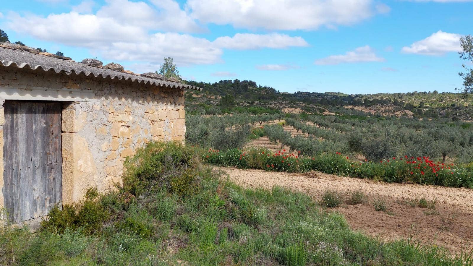 1 soverom Finca/Herregård til salgs i Mazaleon - € 52 000 (Ref: 9095015)