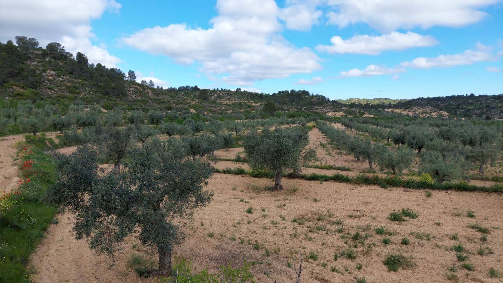 1 soverom Finca/Herregård til salgs i Mazaleon - € 52 000 (Ref: 9095015)