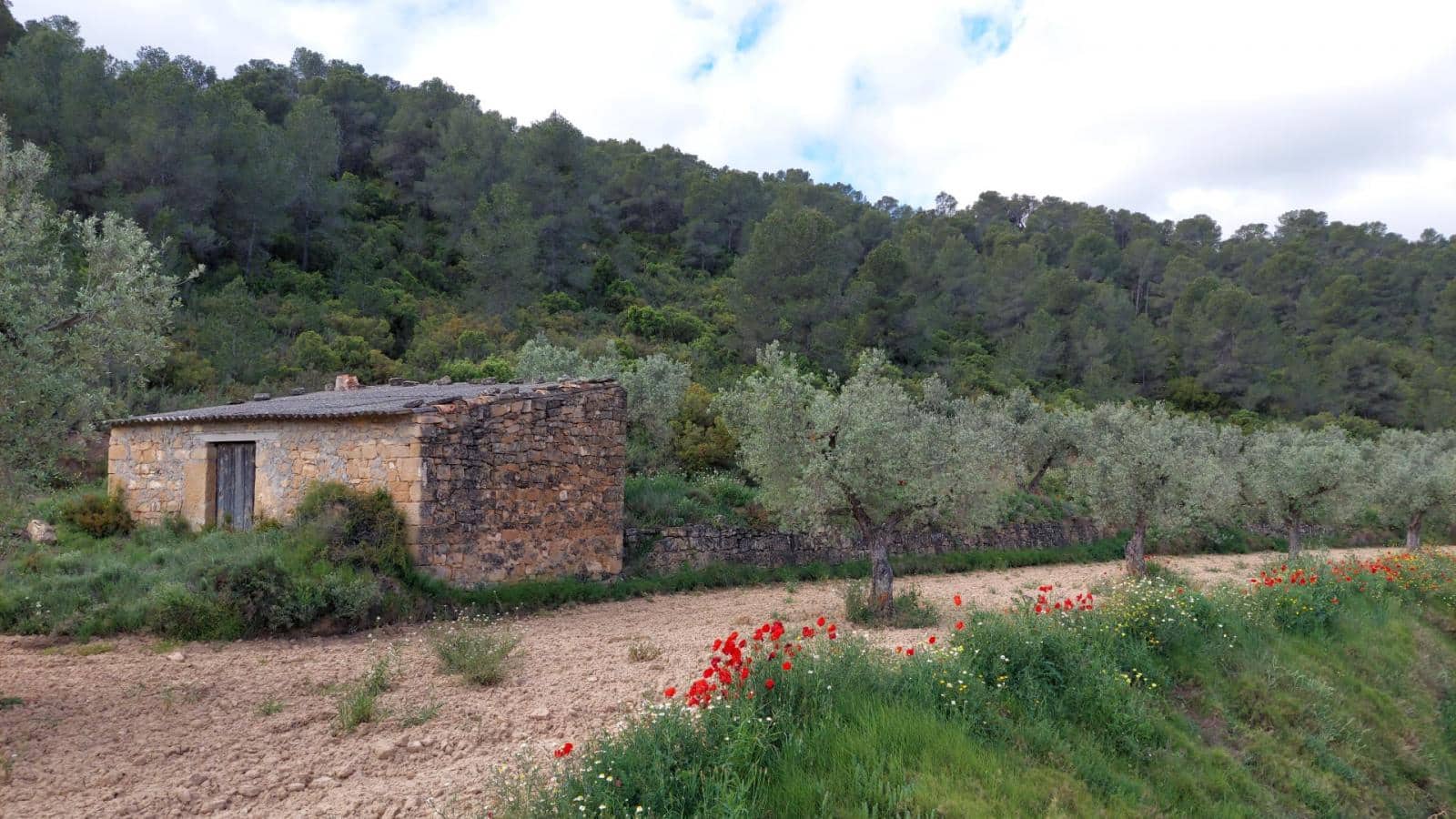 1 soverom Finca/Herregård til salgs i Mazaleon - € 52 000 (Ref: 9095015)