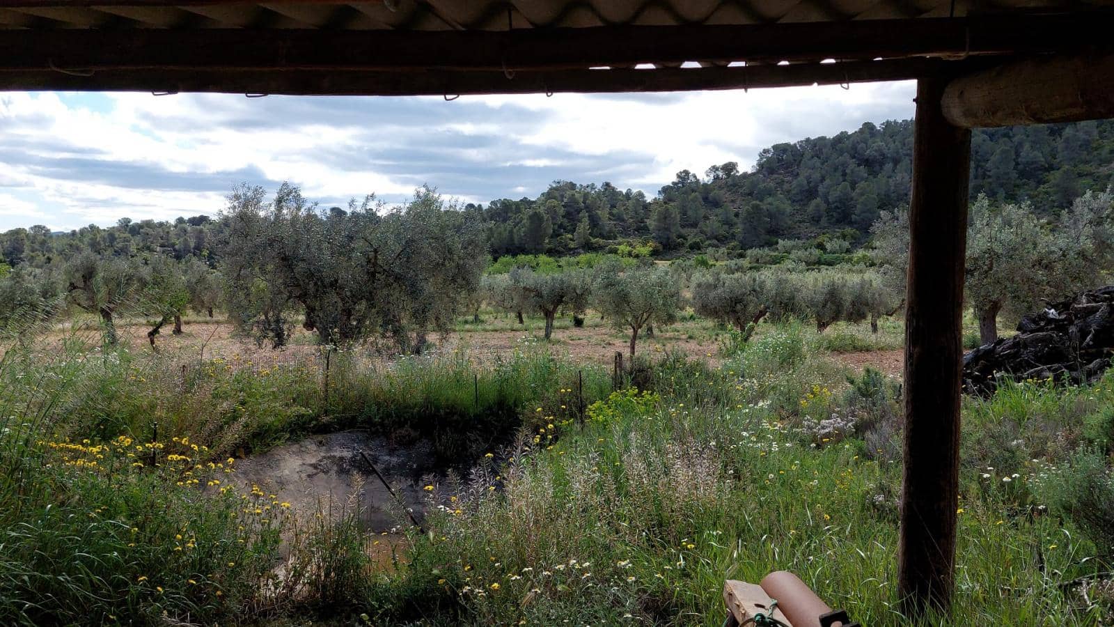 1 soverom Finca/Herregård til salgs i Mazaleon - € 52 000 (Ref: 9095015)