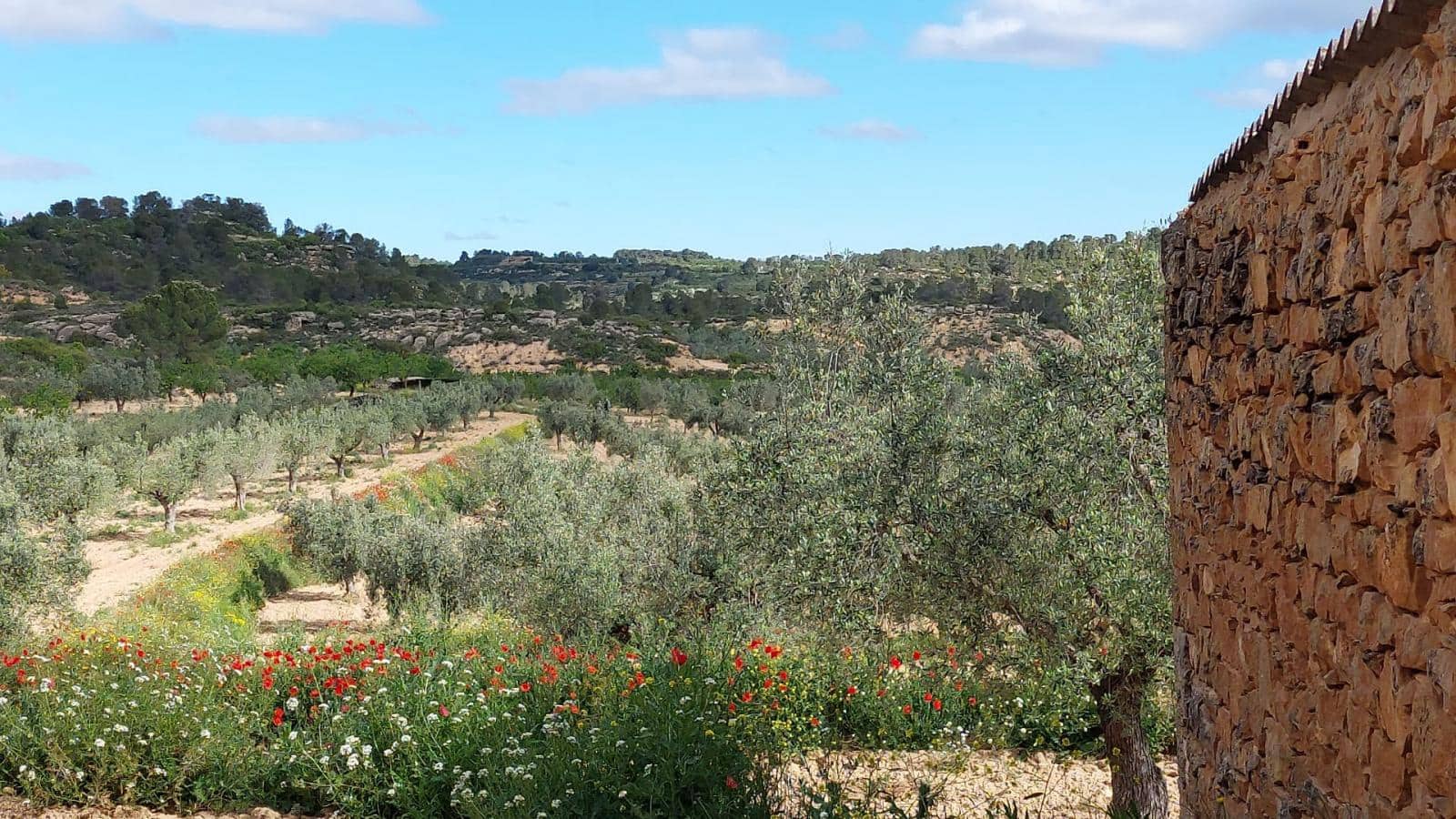 1 soverom Finca/Herregård til salgs i Mazaleon - € 52 000 (Ref: 9095015)