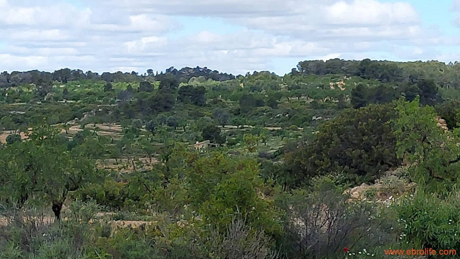 1 soveværelse Finca/Landehus til salg i Mazaleon - € 19.000 (Ref: 9107279)