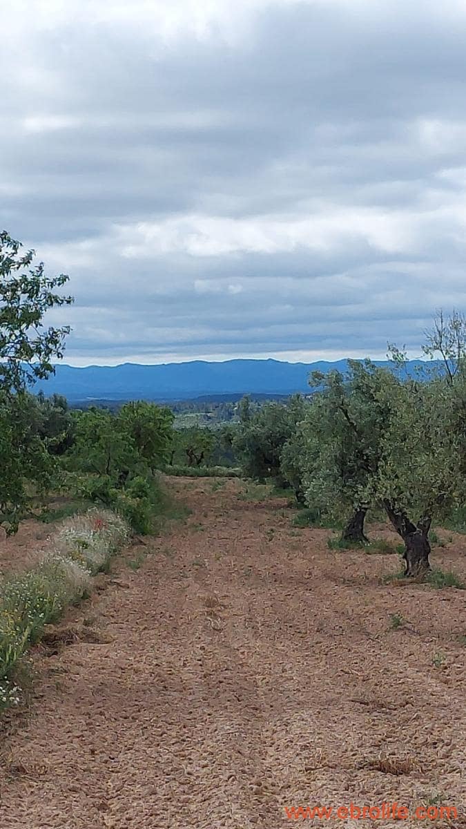 1 soveværelse Finca/Landehus til salg i Mazaleon - € 19.000 (Ref: 9107279)