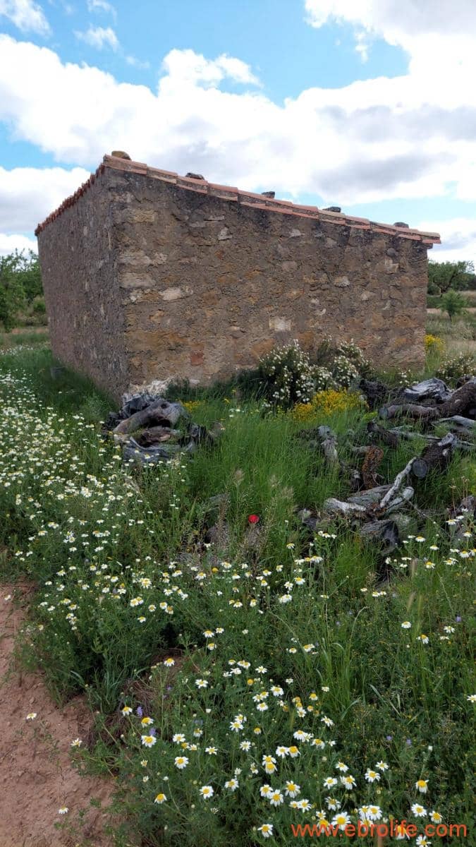 1 soveværelse Finca/Landehus til salg i Mazaleon - € 19.000 (Ref: 9107279)