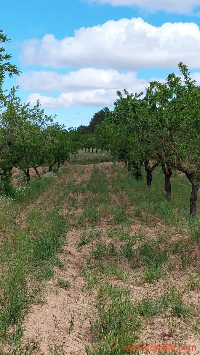 1 soveværelse Finca/Landehus til salg i Mazaleon - € 19.000 (Ref: 9107279)