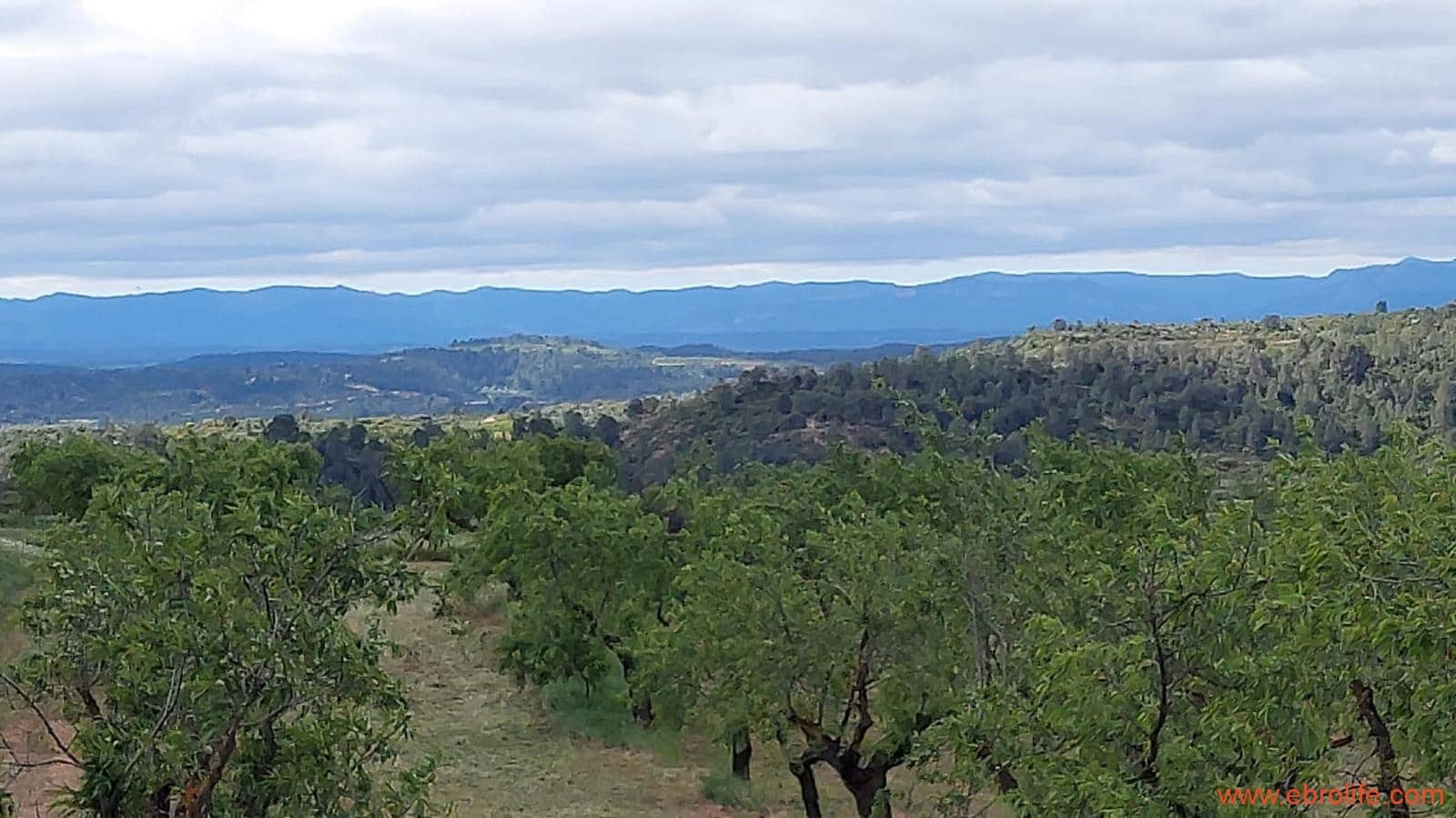 1 soveværelse Finca/Landehus til salg i Mazaleon - € 19.000 (Ref: 9107279)