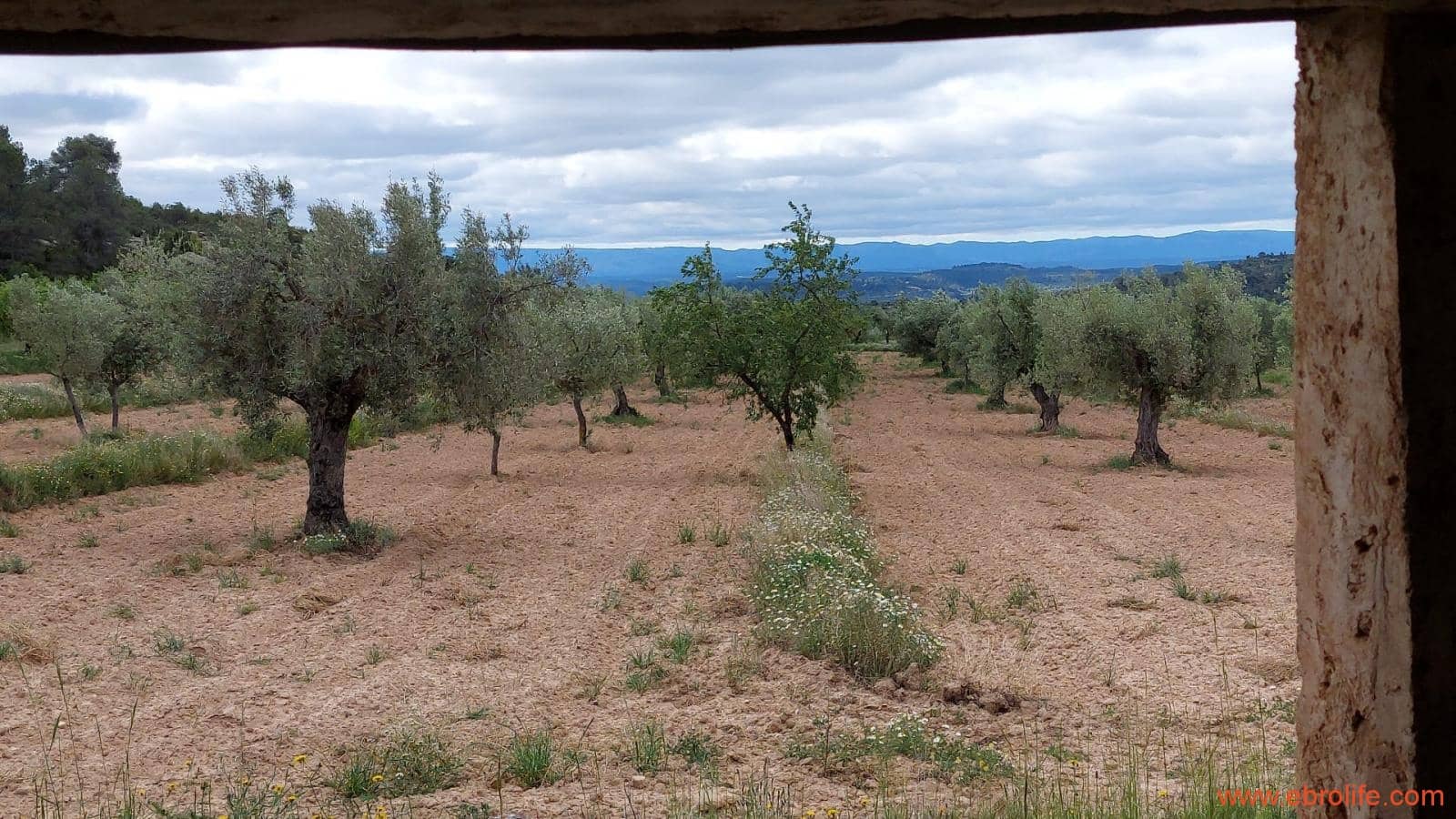 1 soveværelse Finca/Landehus til salg i Mazaleon - € 19.000 (Ref: 9107279)