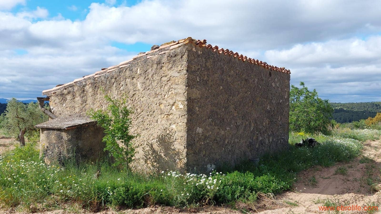 1 soveværelse Finca/Landehus til salg i Mazaleon - € 19.000 (Ref: 9107279)