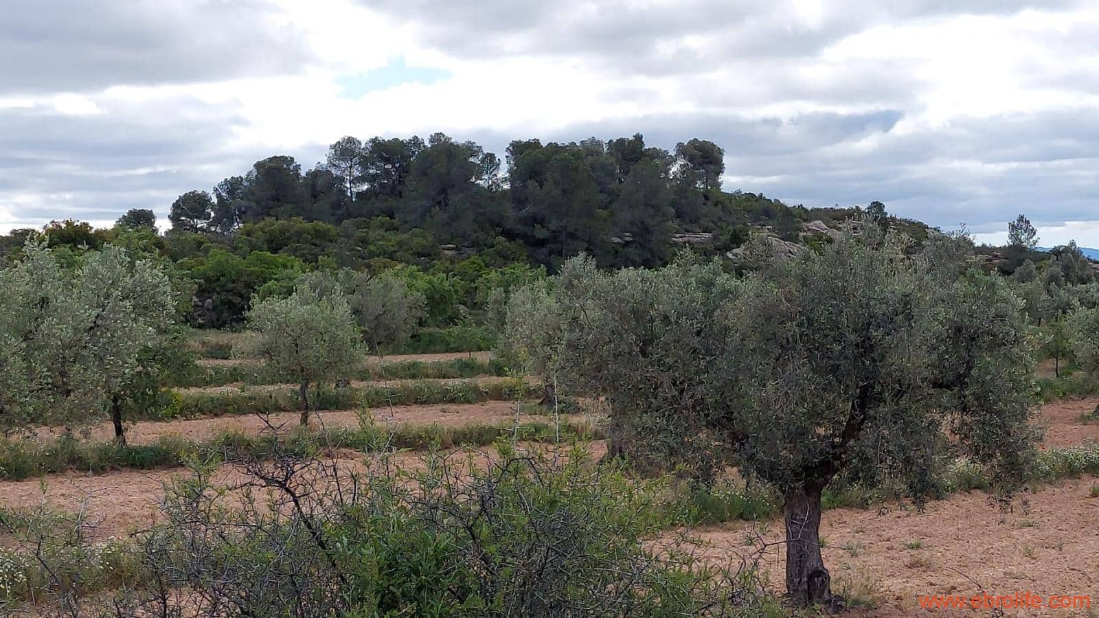 1 soveværelse Finca/Landehus til salg i Mazaleon - € 19.000 (Ref: 9107279)