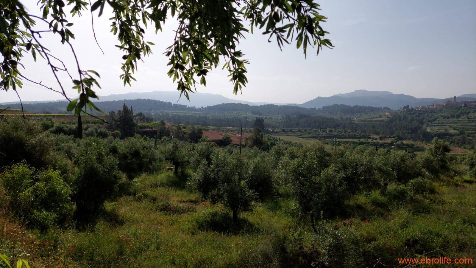 1 soveværelse Finca/Landehus til salg i Els Guiamets - € 96.000 (Ref: 9107280)