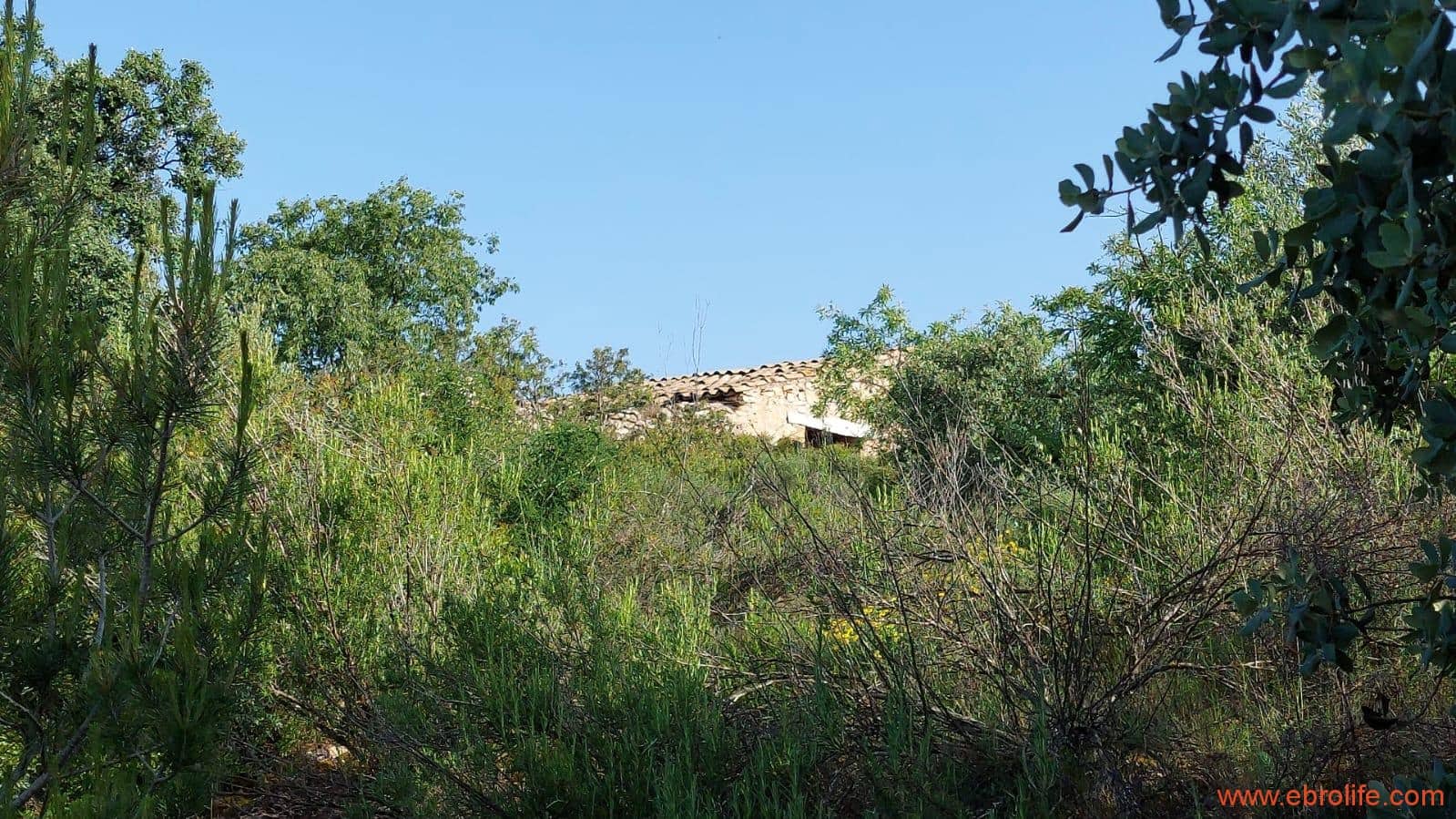 1 soveværelse Finca/Landehus til salg i Els Guiamets - € 96.000 (Ref: 9107280)