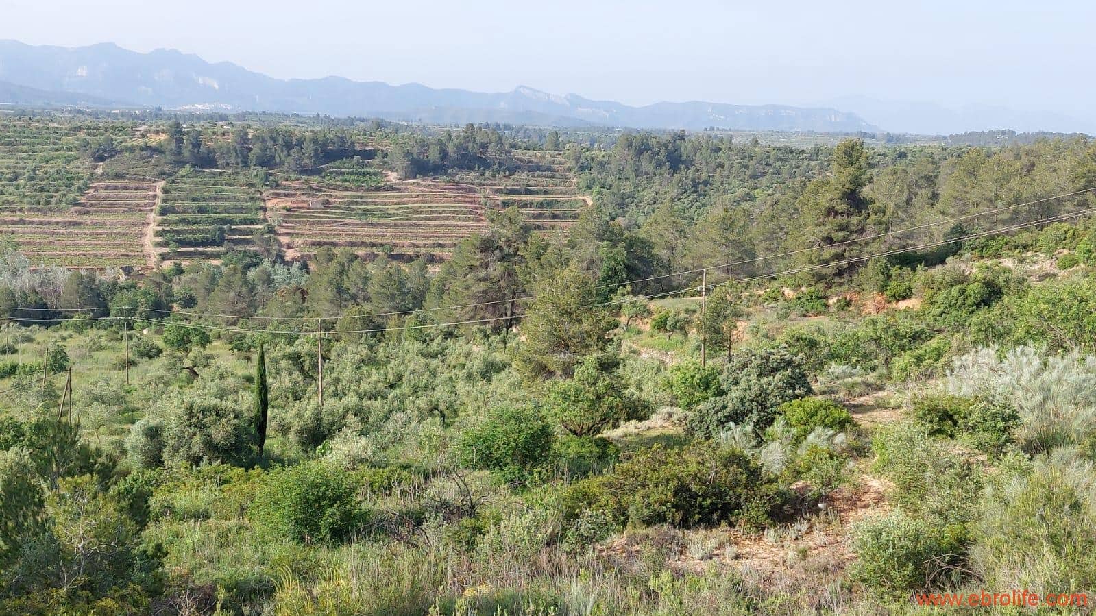 1 soveværelse Finca/Landehus til salg i Els Guiamets - € 96.000 (Ref: 9107280)