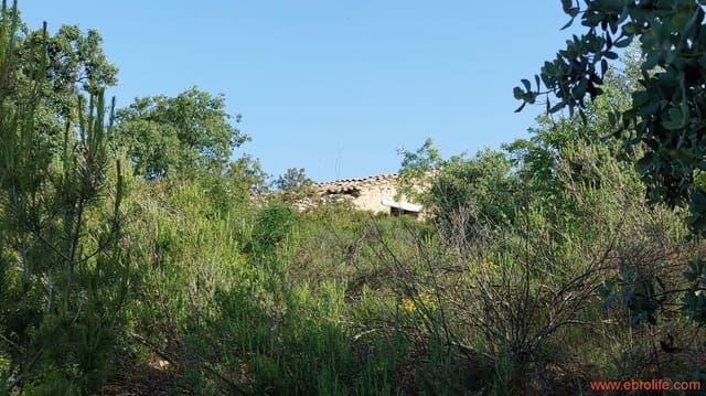 1 slaapkamer Finca/Landhuis te koop in Els Guiamets - € 96.000 (Ref: 9107280)