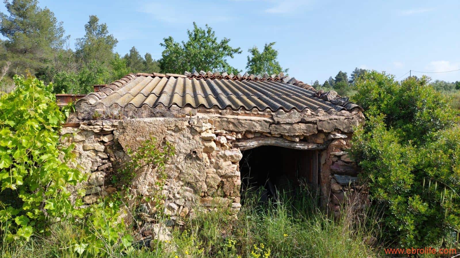 1 soveværelse Finca/Landehus til salg i Els Guiamets - € 96.000 (Ref: 9107280)