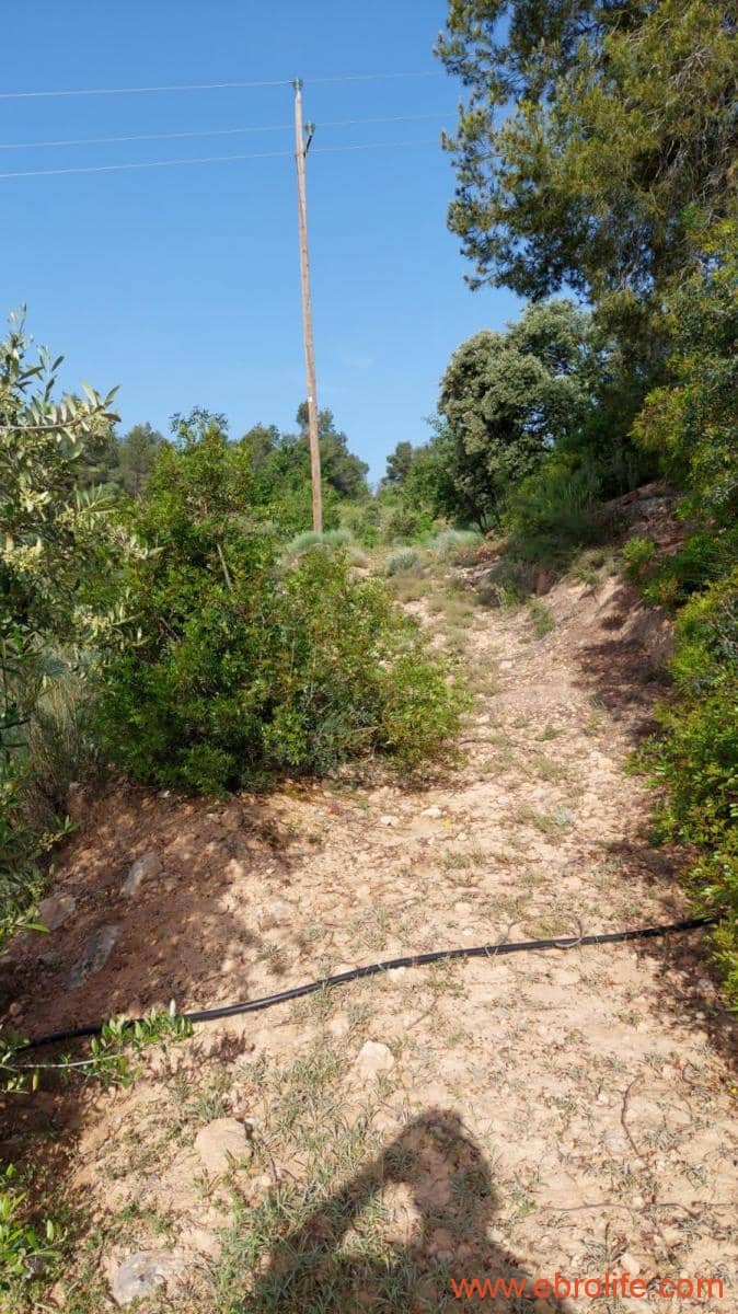 1 soveværelse Finca/Landehus til salg i Els Guiamets - € 96.000 (Ref: 9107280)