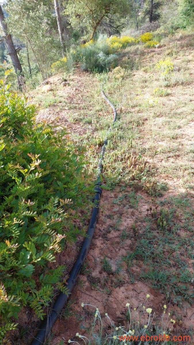 1 soveværelse Finca/Landehus til salg i Els Guiamets - € 96.000 (Ref: 9107280)