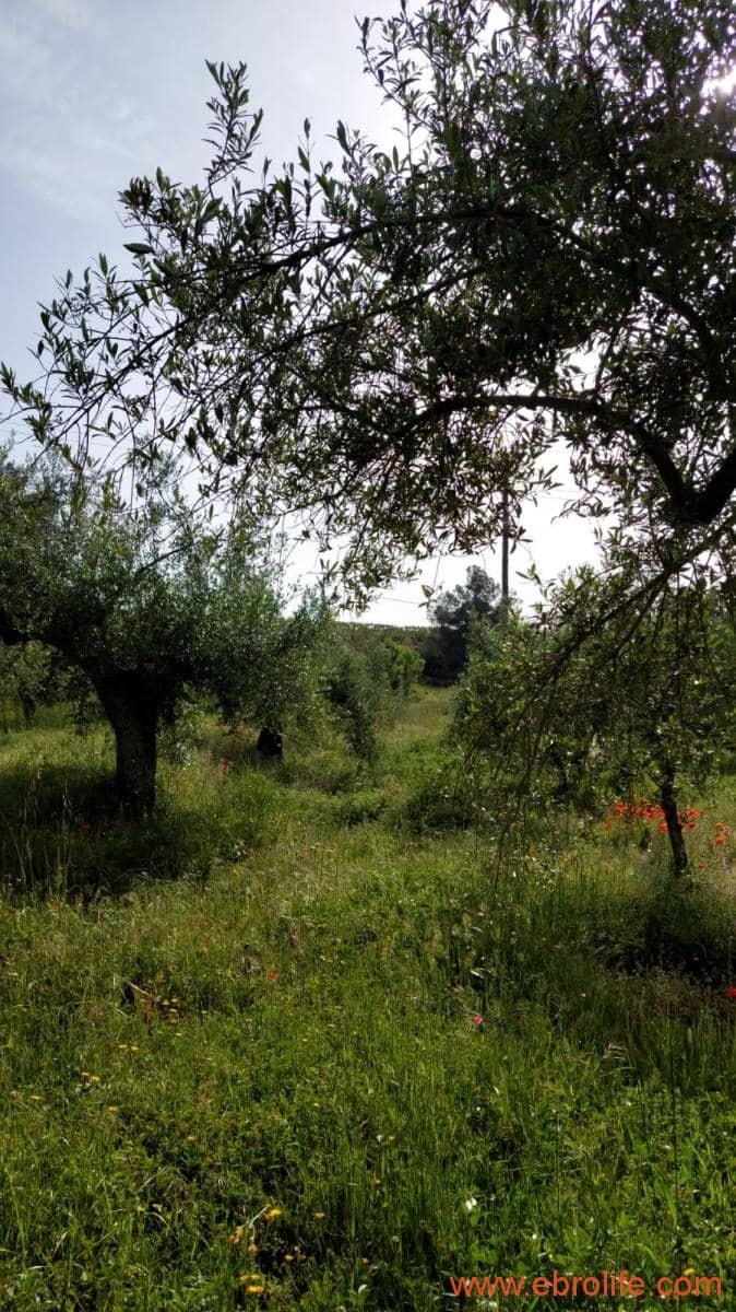 1 soveværelse Finca/Landehus til salg i Els Guiamets - € 96.000 (Ref: 9107280)