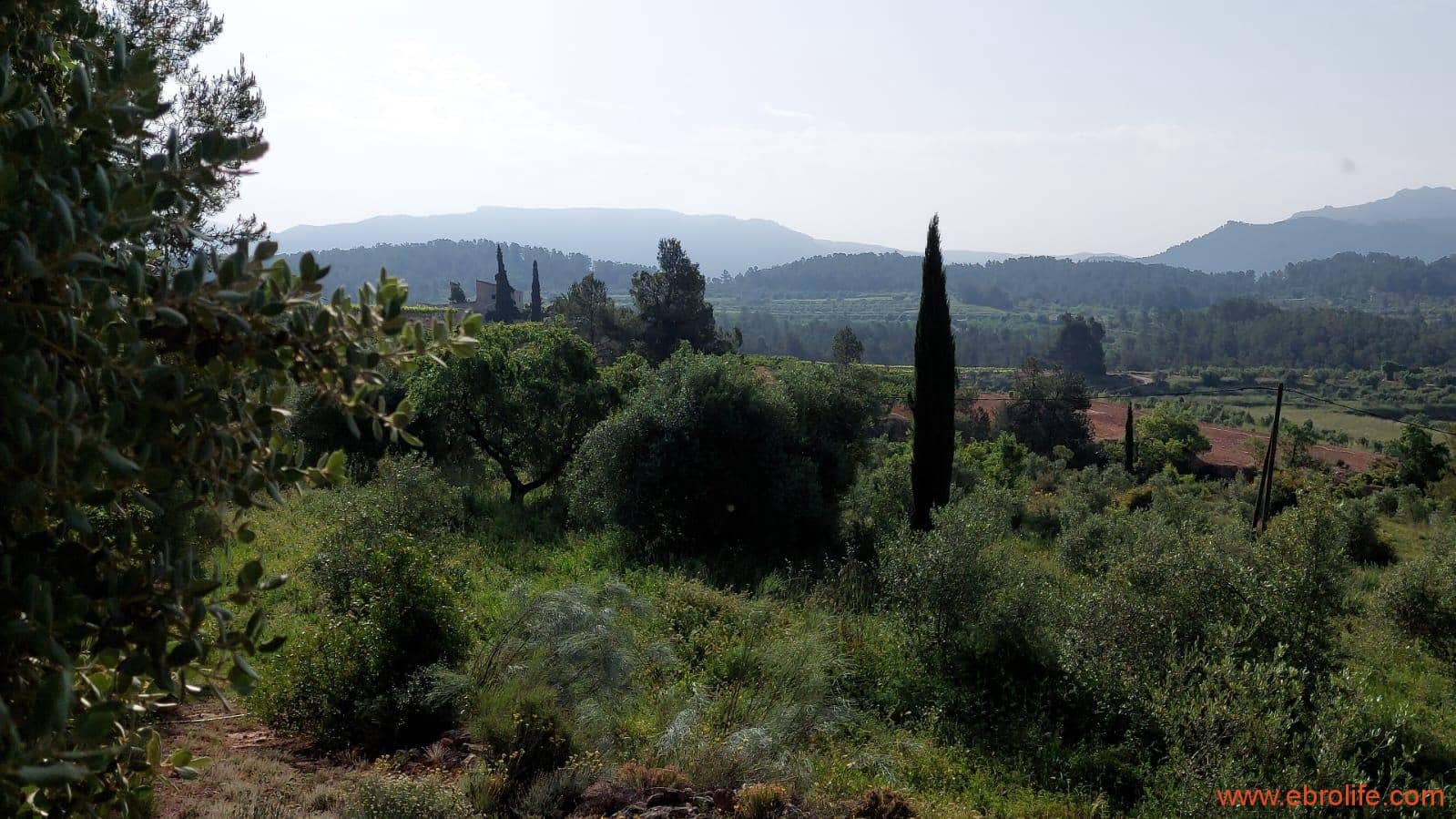 1 soveværelse Finca/Landehus til salg i Els Guiamets - € 96.000 (Ref: 9107280)