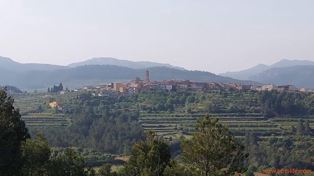 1 slaapkamer Finca/Landhuis te koop in Els Guiamets - € 96.000 (Ref: 9107280)