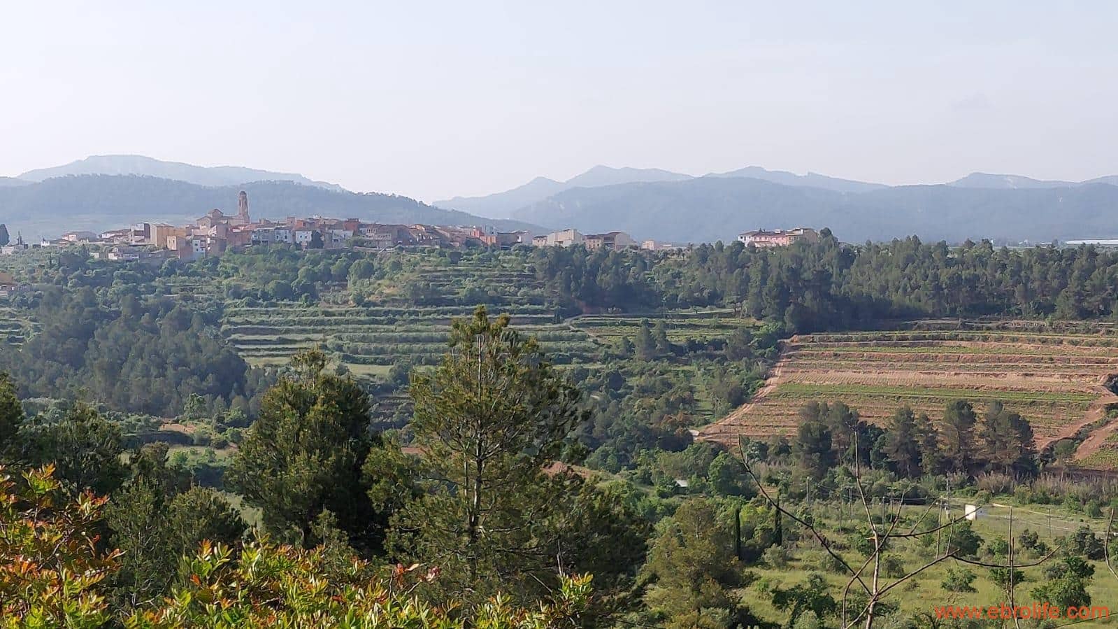 1 soveværelse Finca/Landehus til salg i Els Guiamets - € 96.000 (Ref: 9107280)