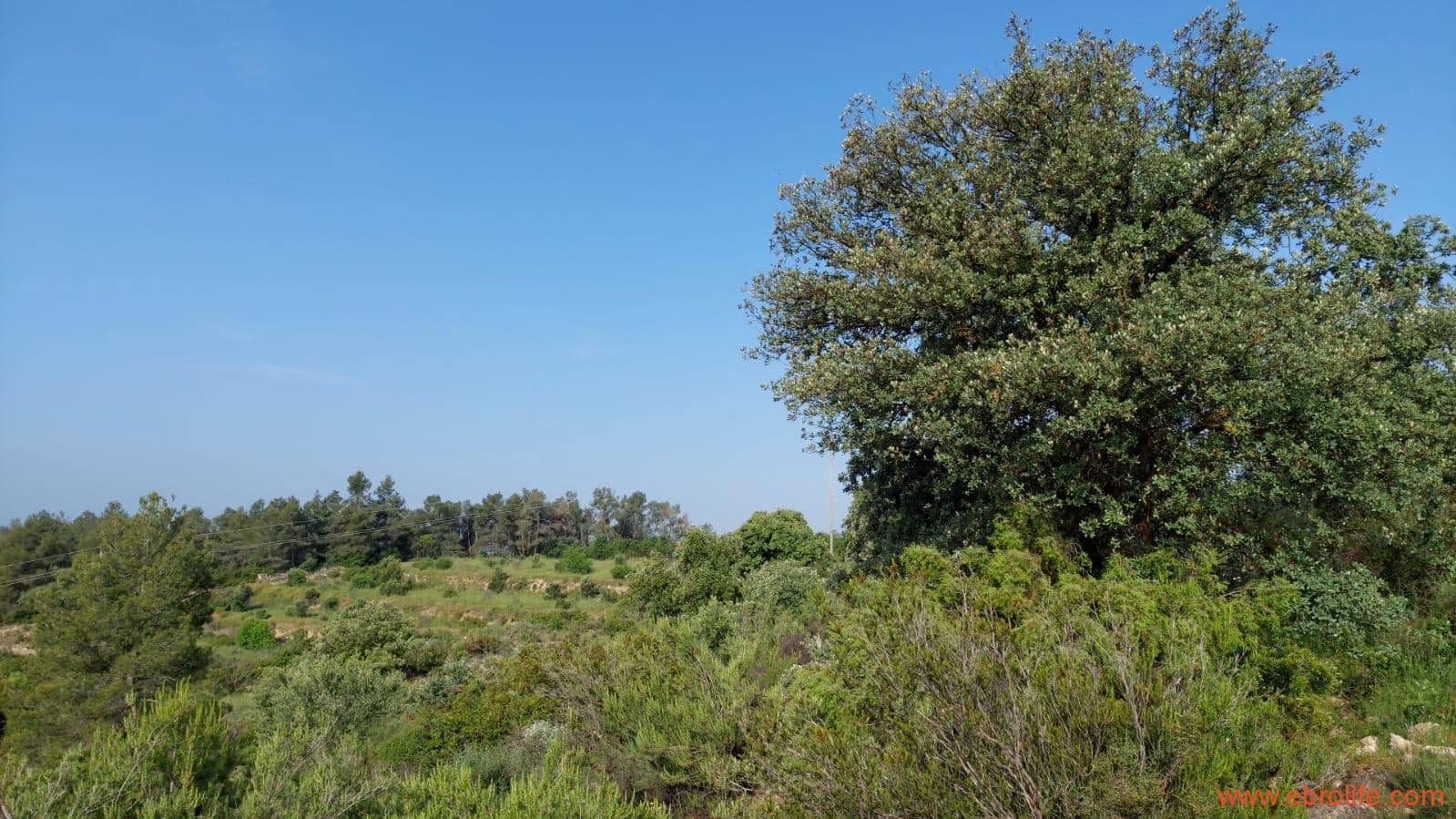 1 soveværelse Finca/Landehus til salg i Els Guiamets - € 96.000 (Ref: 9107280)