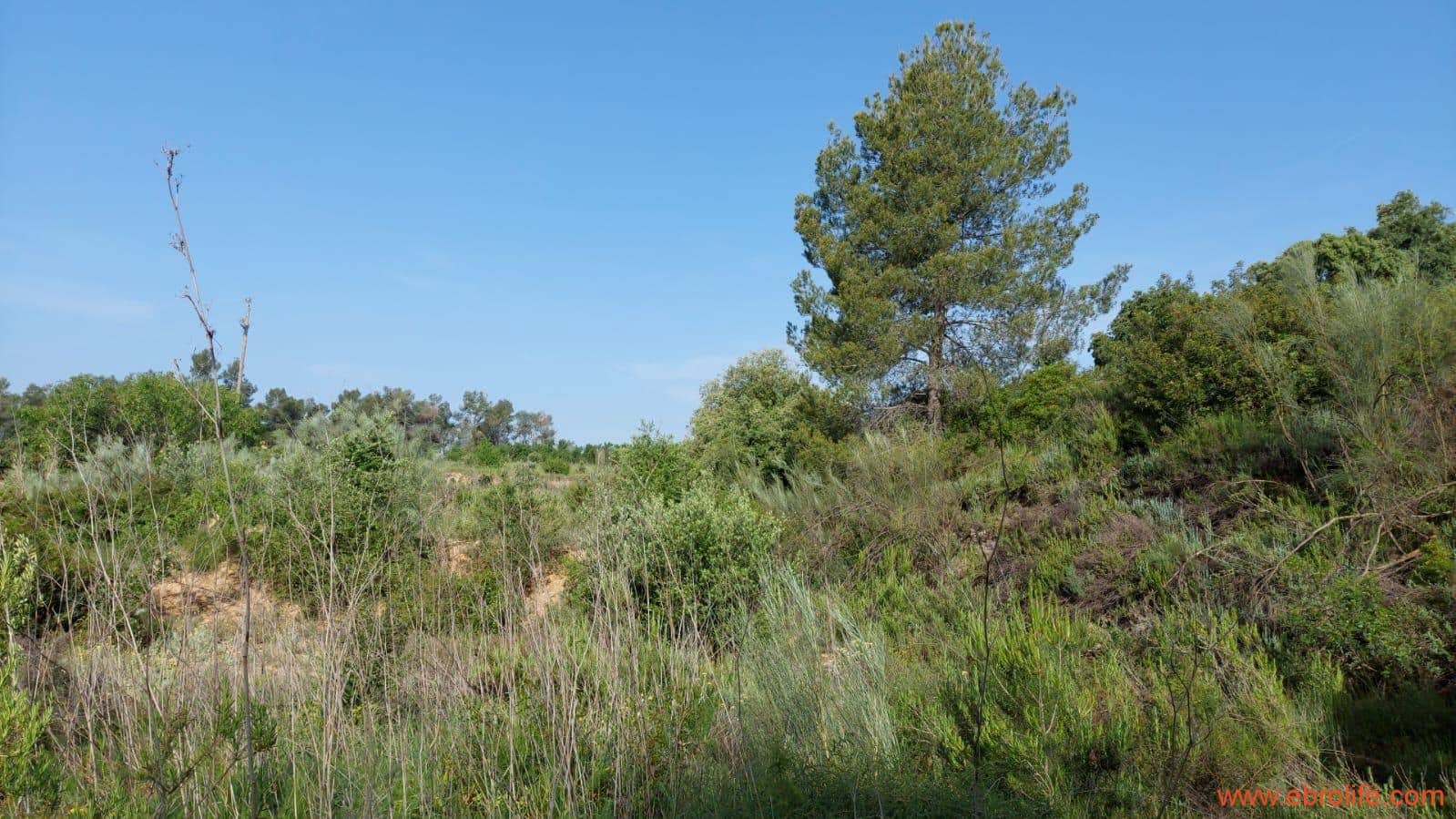 1 soveværelse Finca/Landehus til salg i Els Guiamets - € 96.000 (Ref: 9107280)