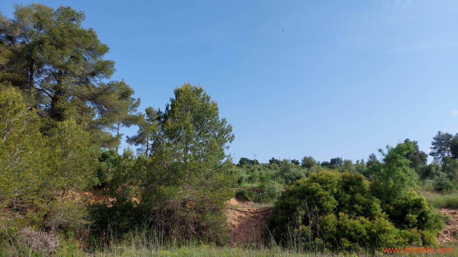 1 soveværelse Finca/Landehus til salg i Els Guiamets - € 96.000 (Ref: 9107280)