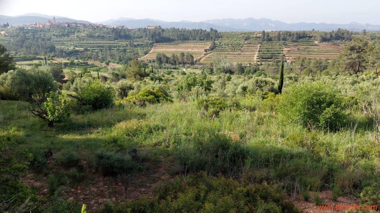 1 soveværelse Finca/Landehus til salg i Els Guiamets - € 96.000 (Ref: 9107280)