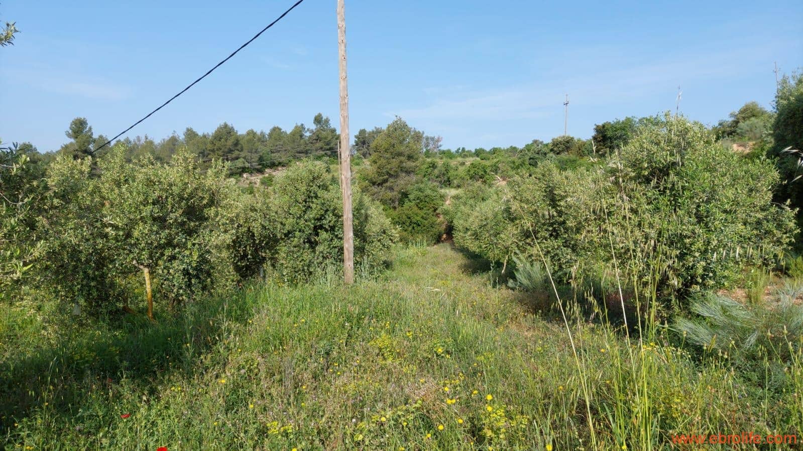 1 soveværelse Finca/Landehus til salg i Els Guiamets - € 96.000 (Ref: 9107280)