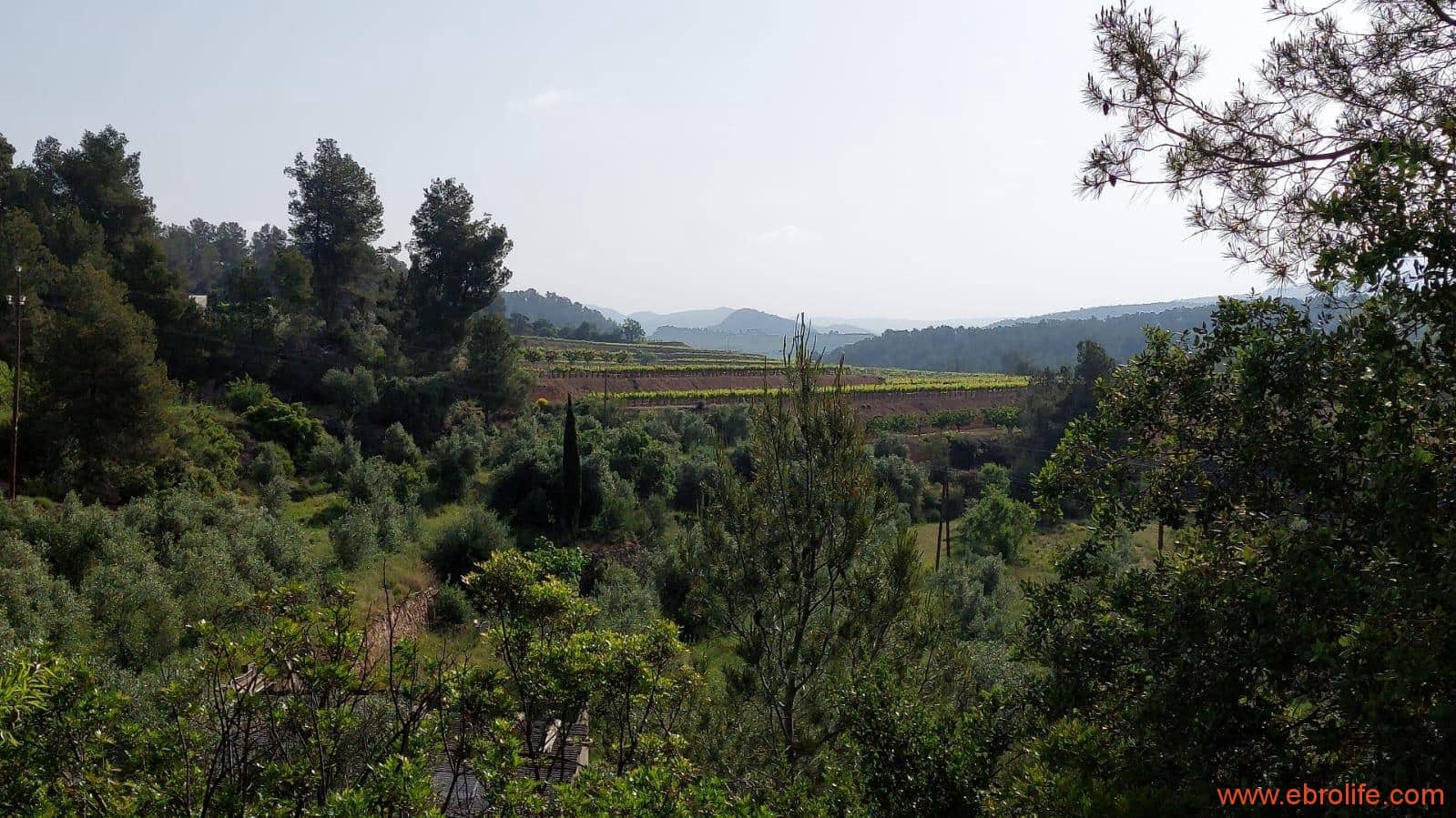 1 soveværelse Finca/Landehus til salg i Els Guiamets - € 96.000 (Ref: 9107280)