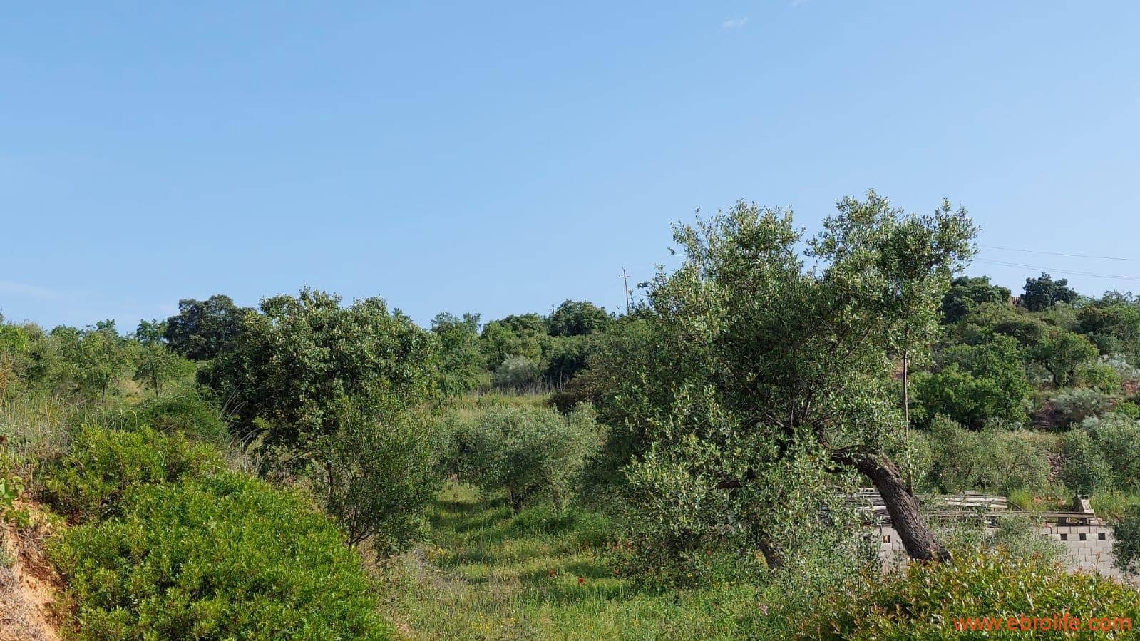 1 soveværelse Finca/Landehus til salg i Els Guiamets - € 96.000 (Ref: 9107280)