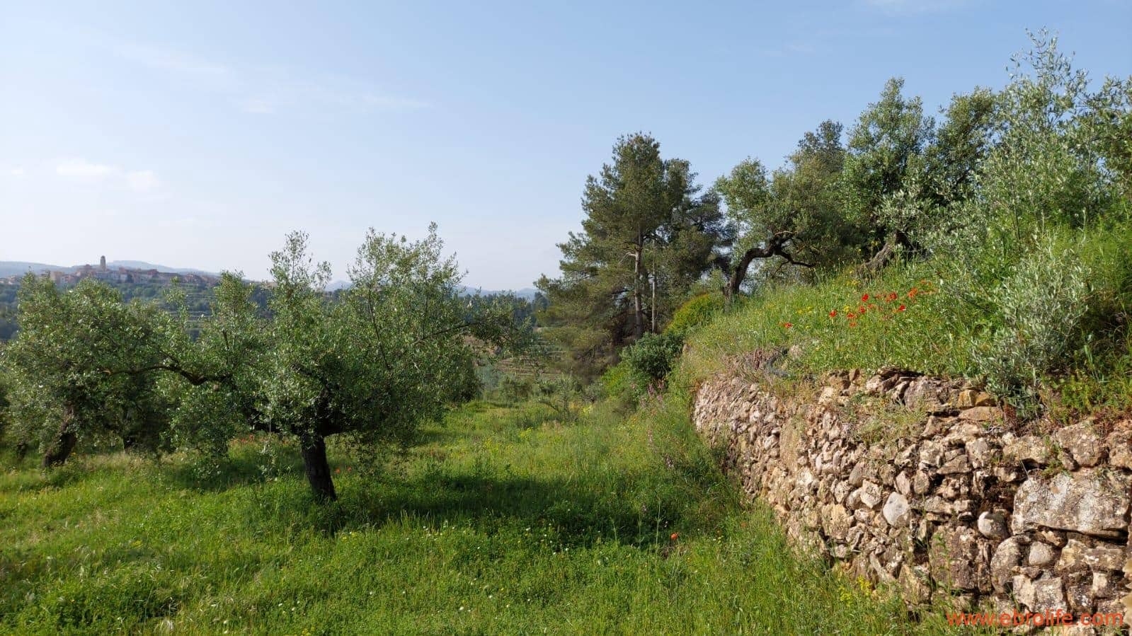 1 soveværelse Finca/Landehus til salg i Els Guiamets - € 96.000 (Ref: 9107280)