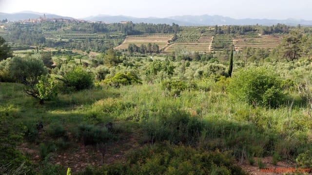 1 slaapkamer Finca/Landhuis te koop in Els Guiamets - € 96.000 (Ref: 9107280)