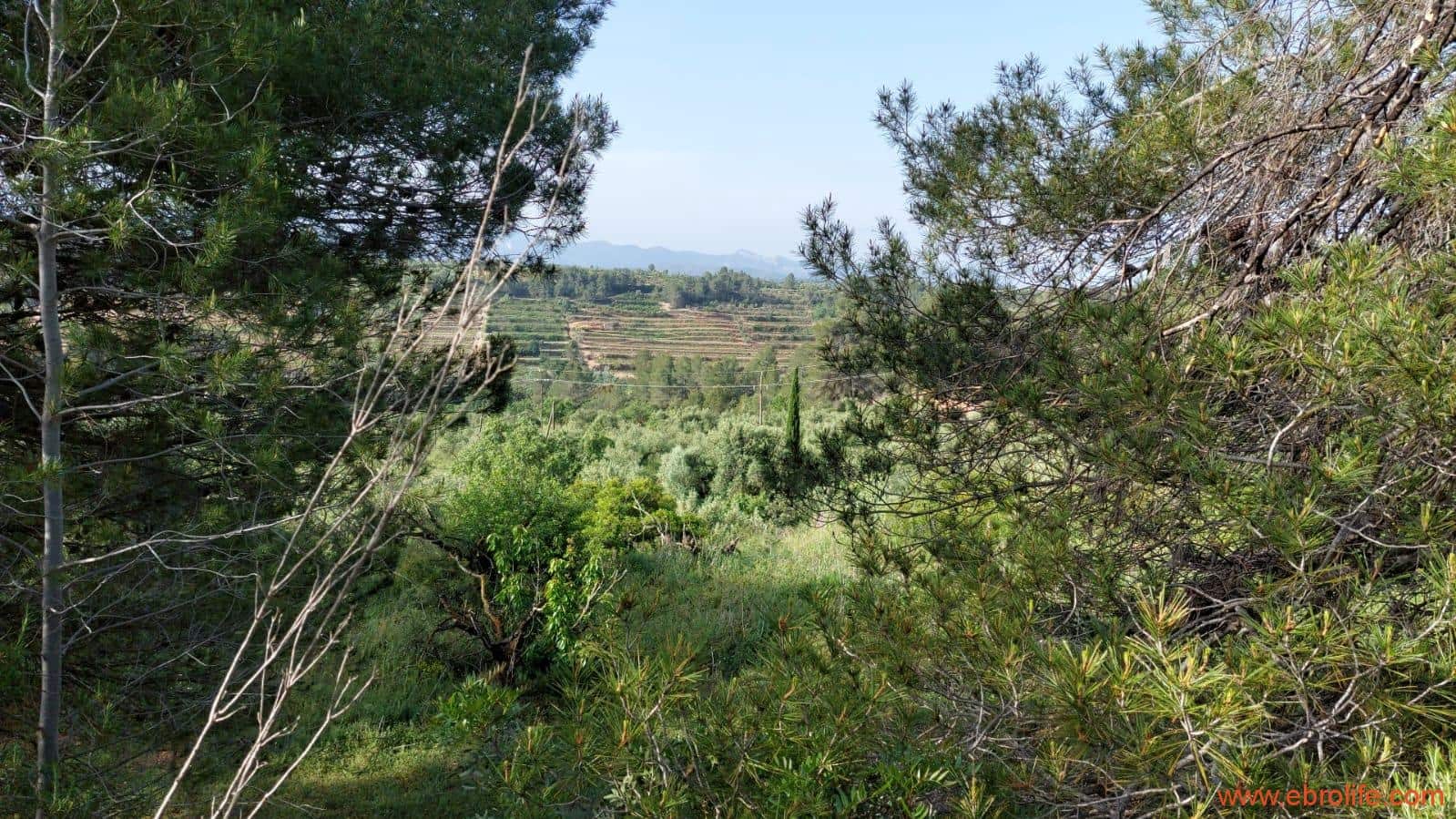 1 soveværelse Finca/Landehus til salg i Els Guiamets - € 96.000 (Ref: 9107280)