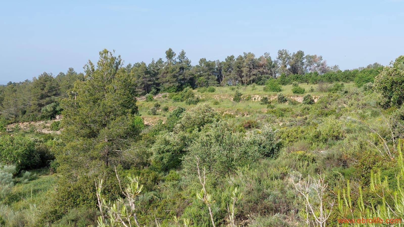 1 soveværelse Finca/Landehus til salg i Els Guiamets - € 96.000 (Ref: 9107280)