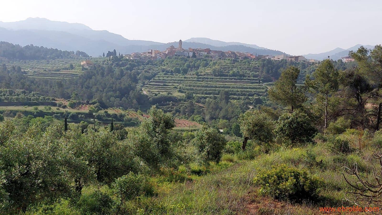 1 soveværelse Finca/Landehus til salg i Els Guiamets - € 96.000 (Ref: 9107280)